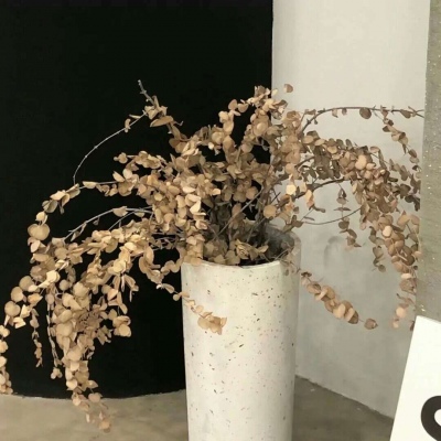 Furry角色比例设计技巧兽圈群